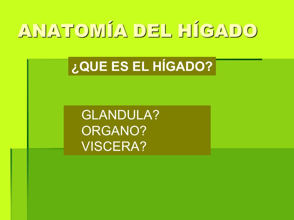 Que tipo de glandula es el higado